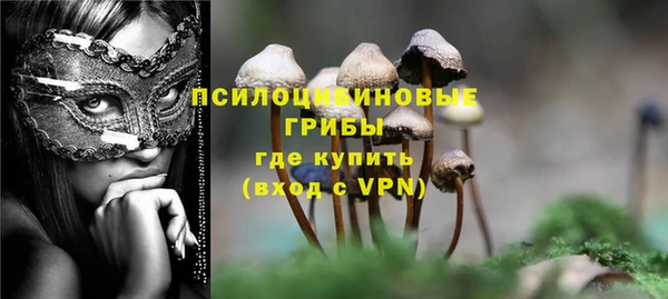 ешки Армянск