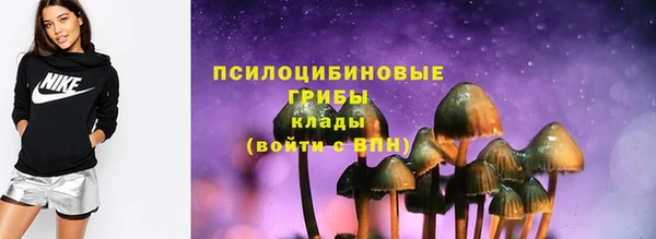 шишки Арсеньев