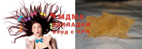 шишки Арсеньев