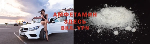шишки Арсеньев
