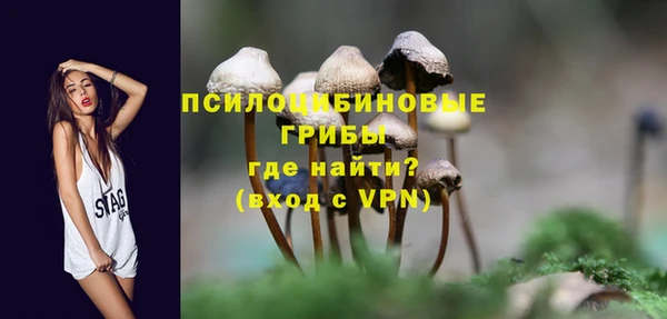 шишки Арсеньев