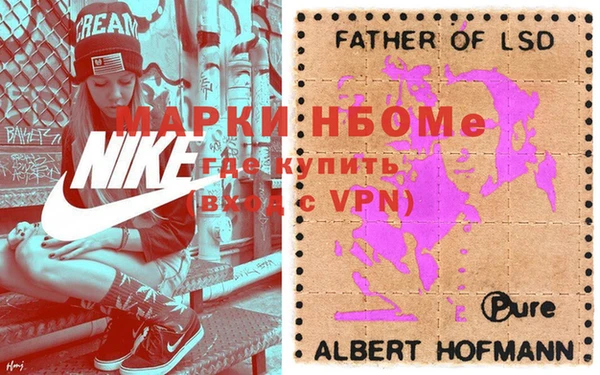 сатива Аркадак