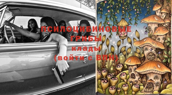 сатива Аркадак