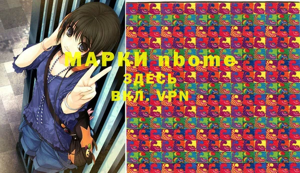шишки Арсеньев
