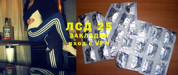 шишки Арсеньев