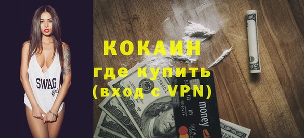 шишки Арсеньев