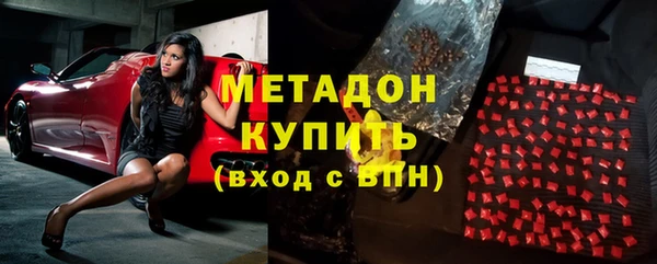 шишки Арсеньев