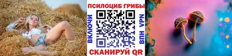 Купить закладки  Малая Вишера  Псилоцибиновые грибы Cubensis 